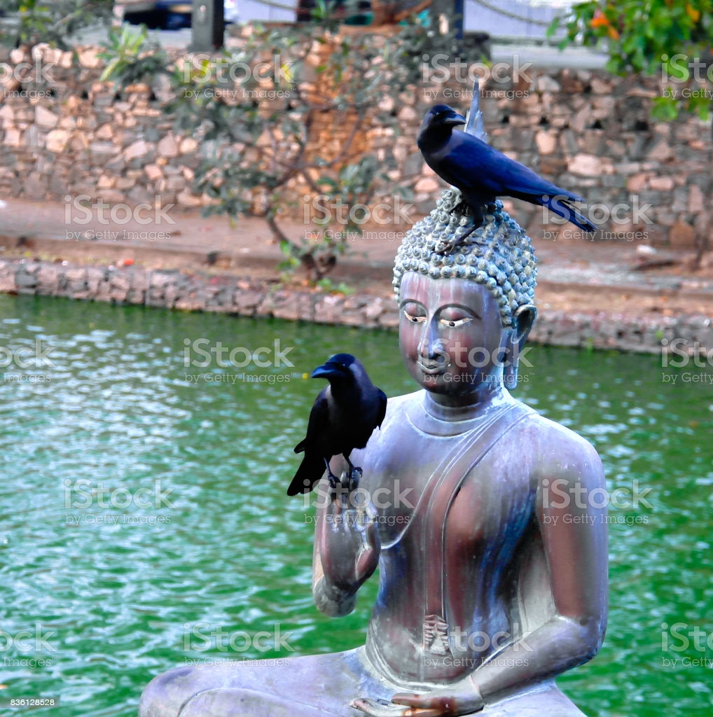 Buddha Statue on Outdoors in Colombo (Image: https://www.istockphoto.com/photo/buddha-statues-in-seema-malaka-temple-colombo-sri-lanka-gm836128528-135973237)